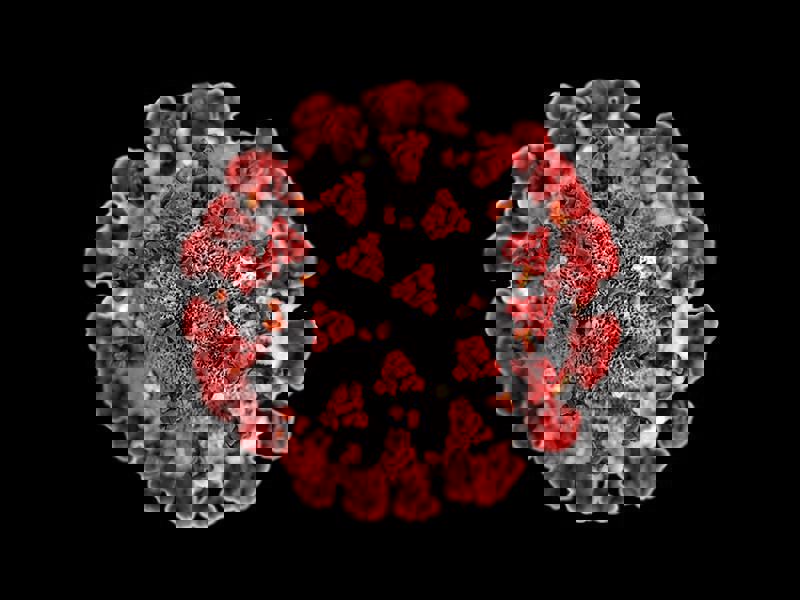 Oppdatering Corona-krisen